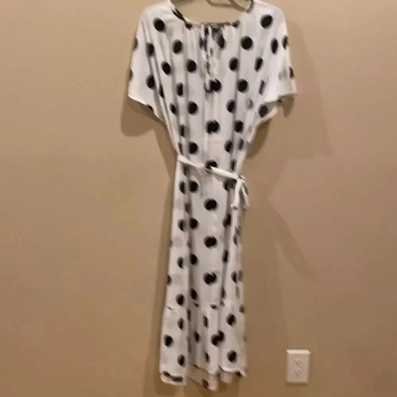 - Banana Republic factory polka dot dress - Picture 7 of 8